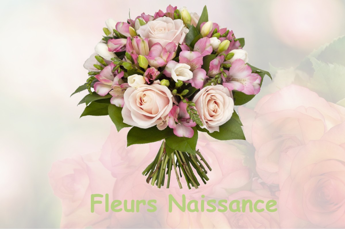 fleurs naissance SAINT-MARTIN-LACAUSSADE